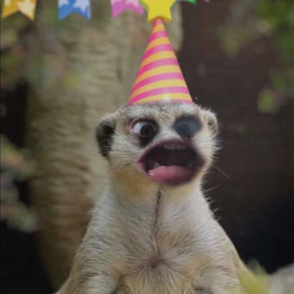 Meet your Posher, Jaimee - Picture 1 of 1